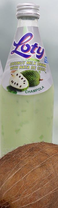 LOTY LECHE DE COCO GUANABANA 24/16.4OZ